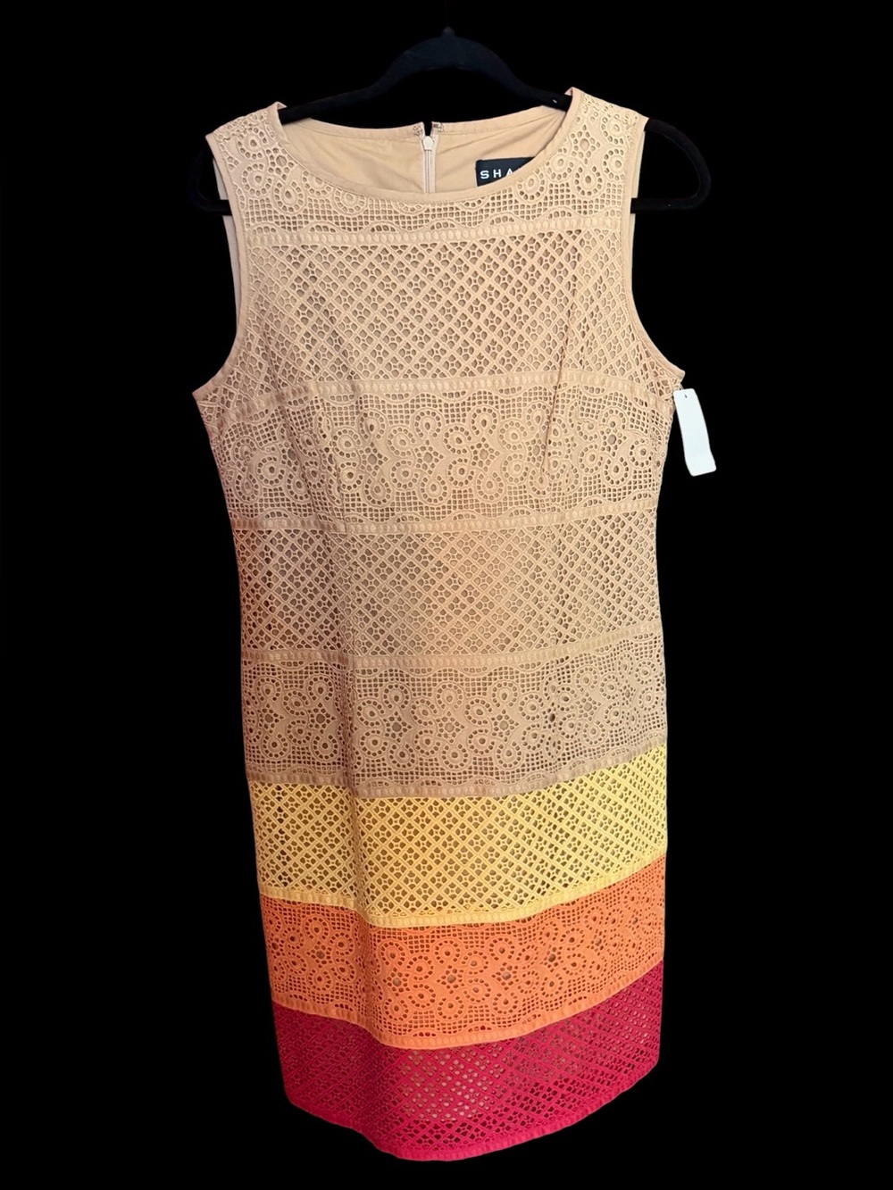 Shanti gorgeous sleeveless dress! NWT and retailed for $350